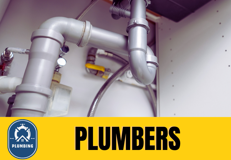  plumber Whittington Moor